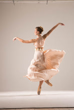 Load image into Gallery viewer, SS23 Rose Adagio Gown
